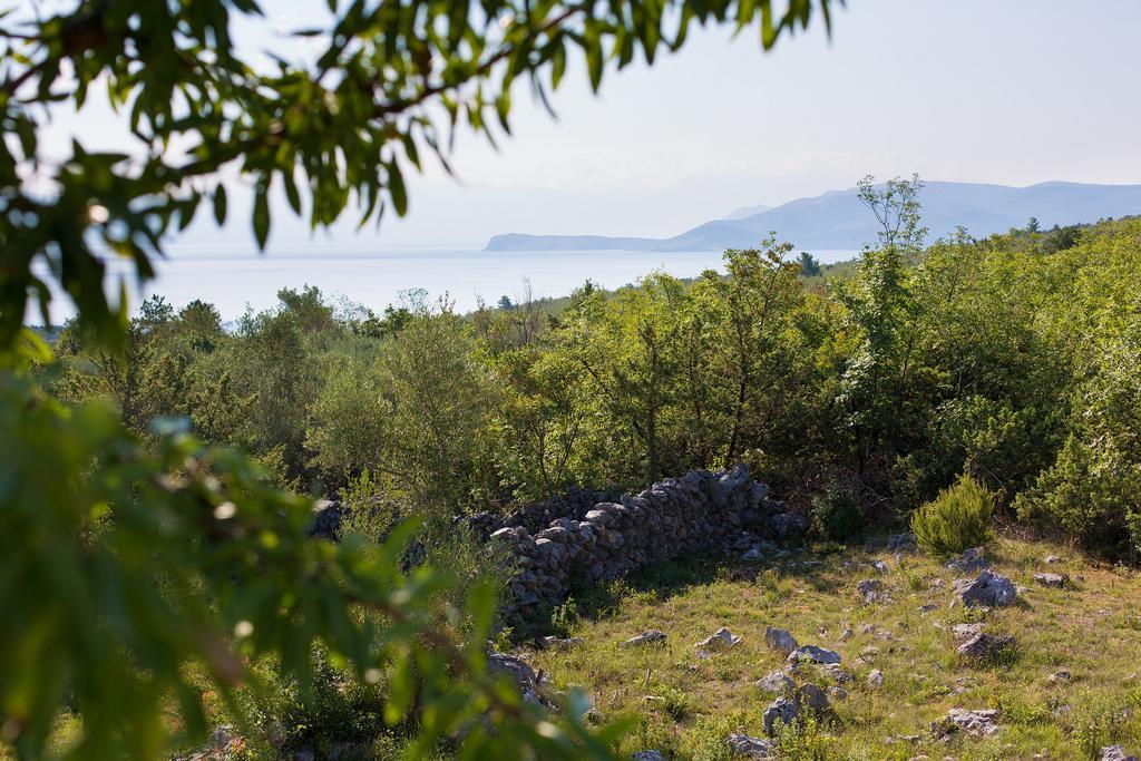 Villa Mir Polje  エクステリア 写真